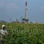 Pemerintah Siap Luncurkan Sumur Minyak Natuna Besok