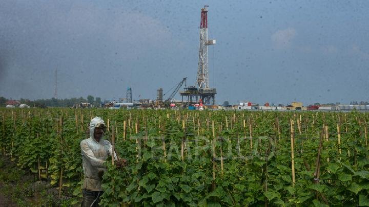 Pemerintah Siap Luncurkan Sumur Minyak Natuna Besok