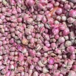 Harga Bawang di Aceh Tengah Anjlok drastis: Simak Detailnya
