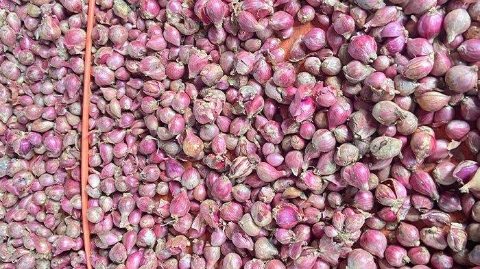 Harga Bawang di Aceh Tengah Anjlok drastis: Simak Detailnya