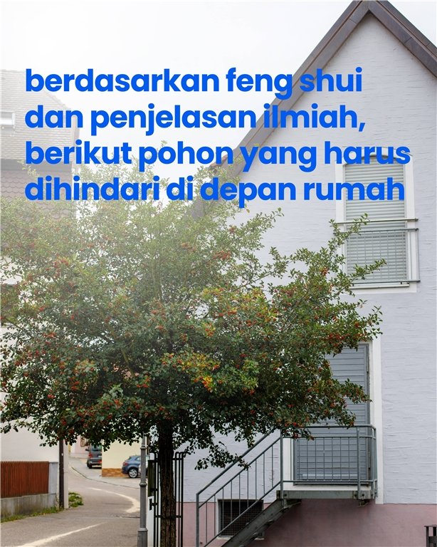 Perhatian! 5 Pohon Ini Dapat Menghancurkan Dasar Rumah Anda